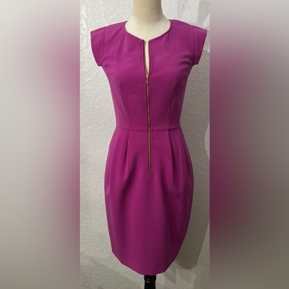 Rebecca Taylor Pink Fuchsia Cap Sleeve Front Zip Cocktail Dress Size 2 Gorgeous - Picture 6 of 13
